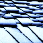 Entdeckte neue Sinneskanäle